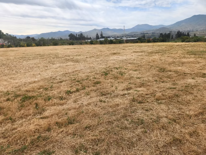 Venta parcela San Pedro Nolasco Altovalsol - Imagen 4