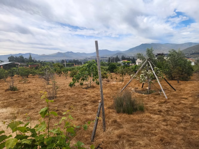 Venta parcela San Pedro Nolasco Altovalsol - Imagen 2