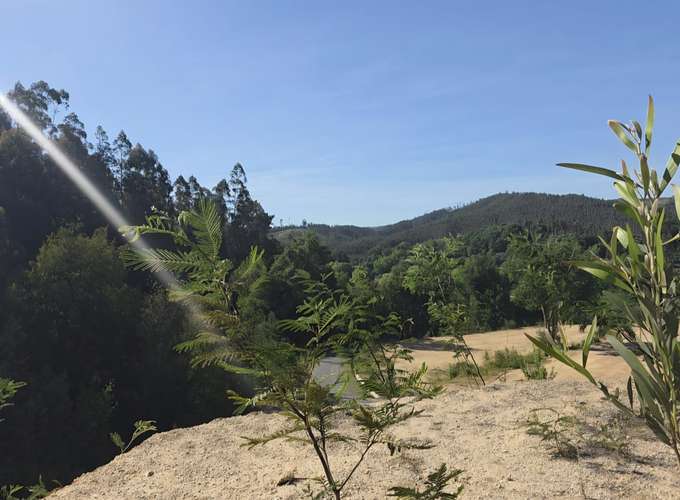 Terrenos, Sitios, Concepción, Fundo Las Tranqueras - Imagen 5