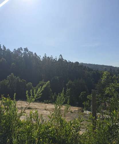 Terrenos, Sitios, Concepción, Fundo Las Tranqueras - Imagen 6
