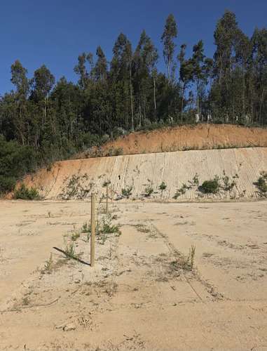 Terrenos, Sitios, Concepción, Fundo Las Tranqueras - Imagen 7