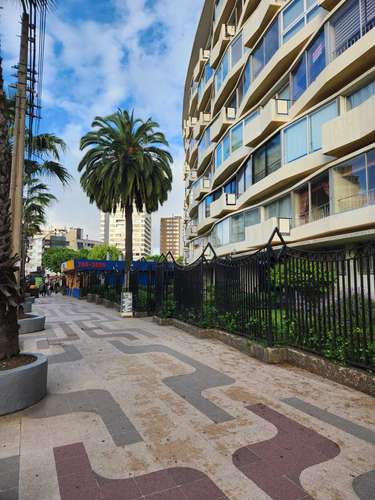 Depto San Martín Viña Inversionistas 2d 2b (185893)