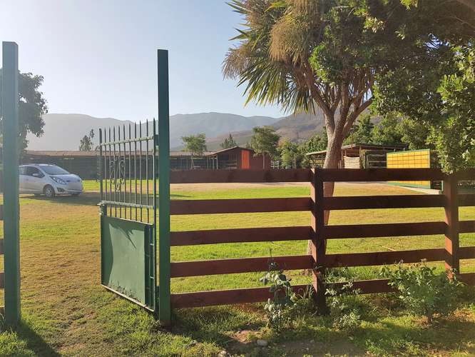En venta terreno en La Cruz – 35.000 m2., plantado con paltos Hass.  23.500 UF
