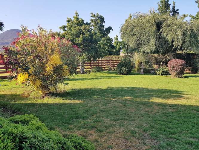 En venta terreno en La Cruz – 35.000 m2., plantado con paltos Hass.  23.500 UF