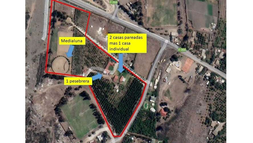 En venta terreno en La Cruz – 35.000 m2., plantado con paltos Hass.  23.500 UF