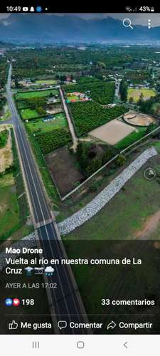 En venta terreno en La Cruz – 35.000 m2., plantado con paltos Hass.  23.500 UF