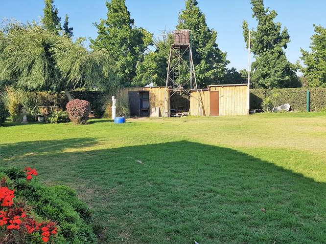 En venta terreno en La Cruz – 35.000 m2., plantado con paltos Hass.  23.500 UF
