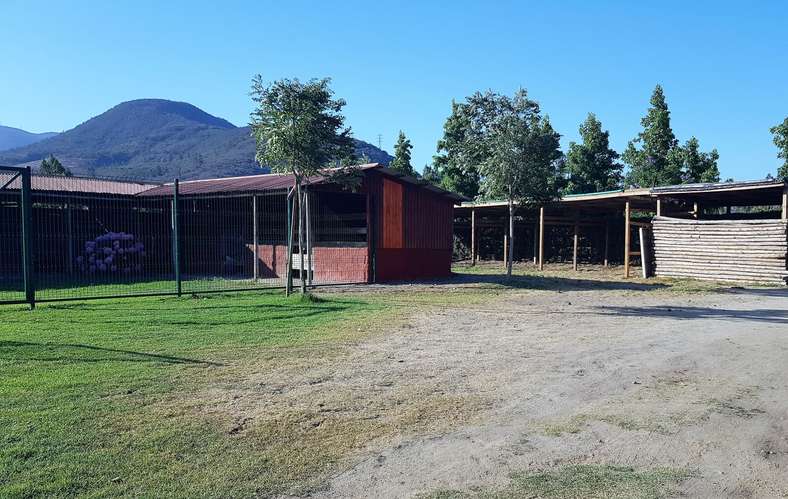 En venta terreno en La Cruz – 35.000 m2., plantado con paltos Hass.  23.500 UF