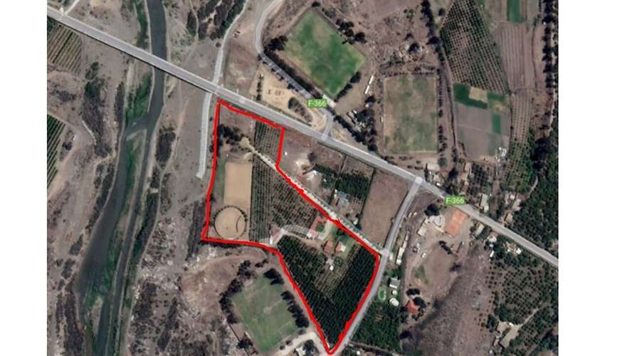 En venta terreno en La Cruz – 35.000 m2., plantado con paltos Hass.  23.500 UF