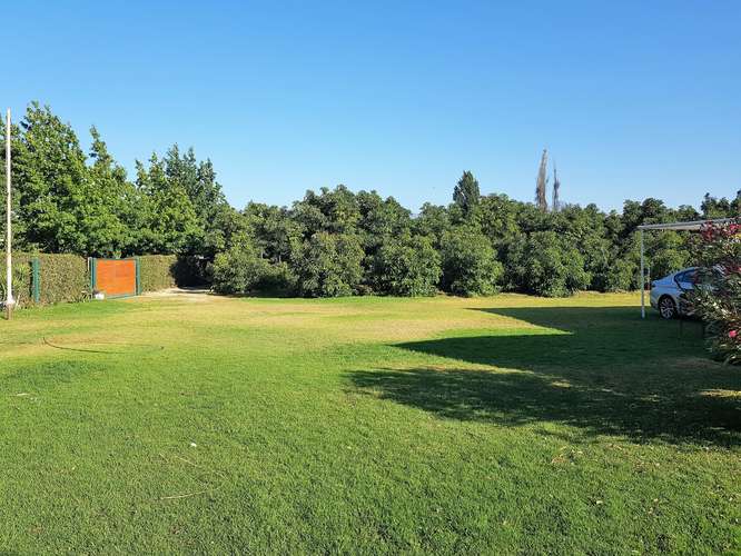 En venta terreno en La Cruz – 35.000 m2., plantado con paltos Hass.  23.500 UF