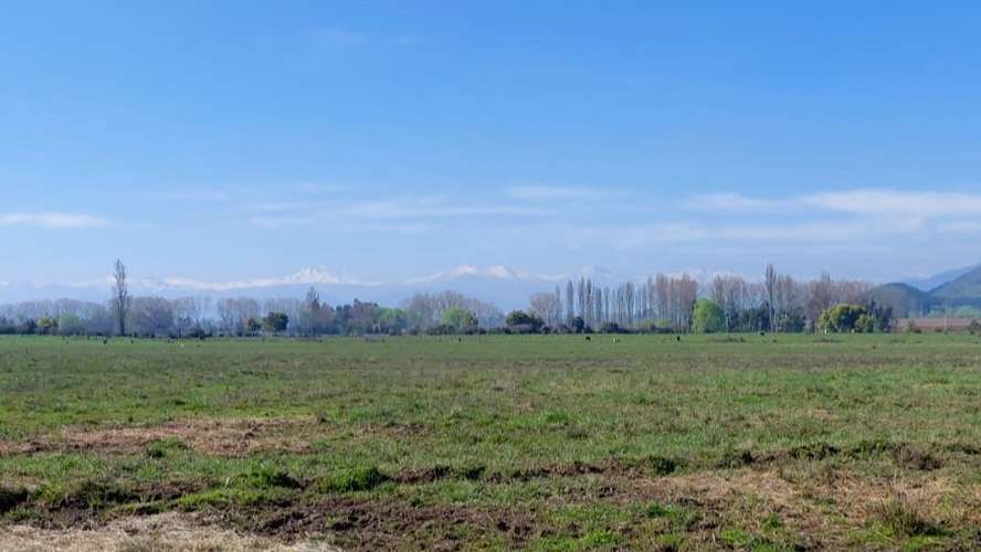 CAMPO AGRÍCOLA EN VENTA, TERRENO DE 20 HA PELARCO