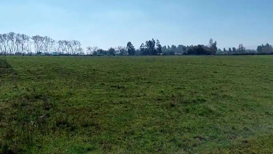 CAMPO AGRÍCOLA EN VENTA, TERRENO DE 20 HA PELARCO