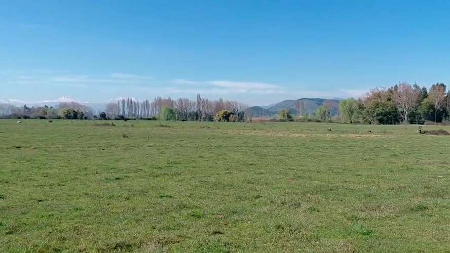CAMPO AGRÍCOLA EN VENTA, TERRENO DE 20 HA PELARCO