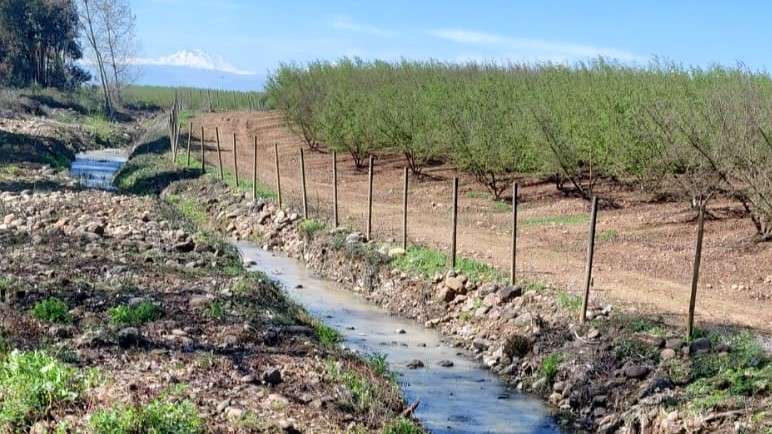 CAMPO AGRÍCOLA EN VENTA, TERRENO DE 20 HA PELARCO