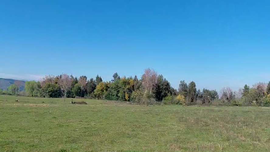 CAMPO AGRÍCOLA EN VENTA, TERRENO DE 20 HA PELARCO