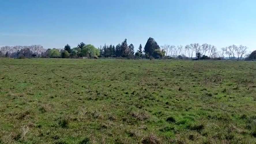 CAMPO AGRÍCOLA EN VENTA, TERRENO DE 20 HA PELARCO