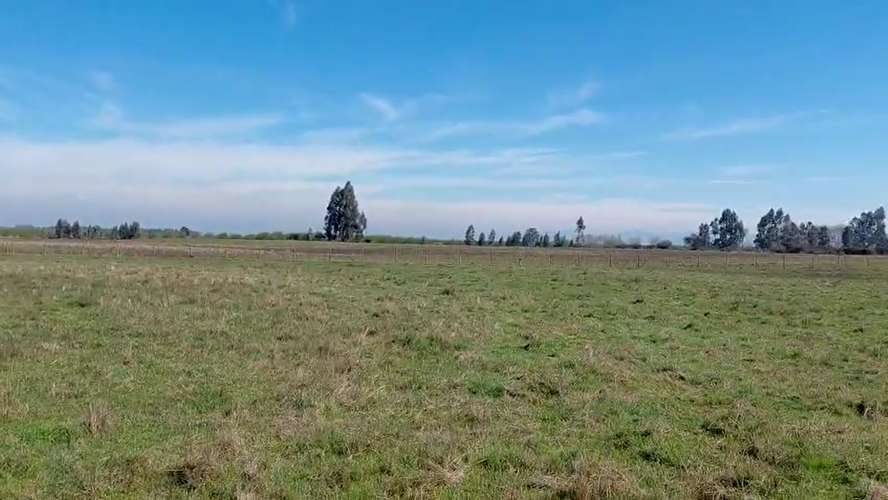 CAMPO AGRÍCOLA EN VENTA, TERRENO DE 20 HA PELARCO