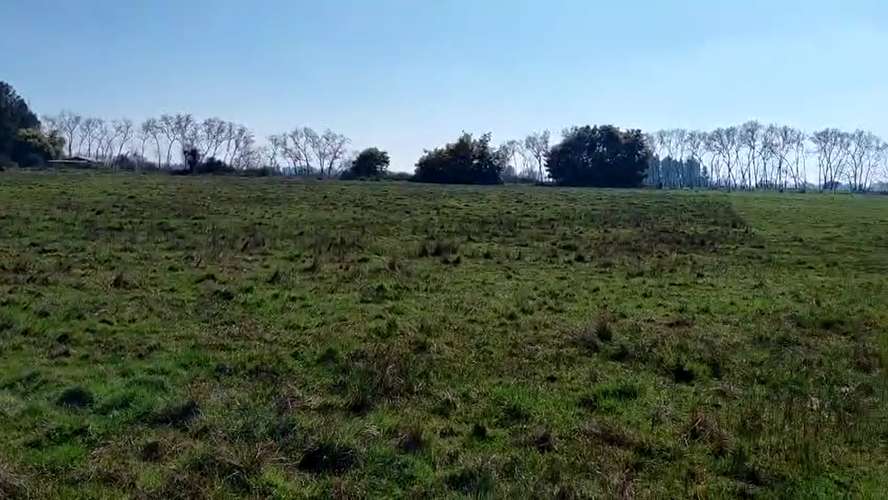 CAMPO AGRÍCOLA EN VENTA, TERRENO DE 20 HA PELARCO