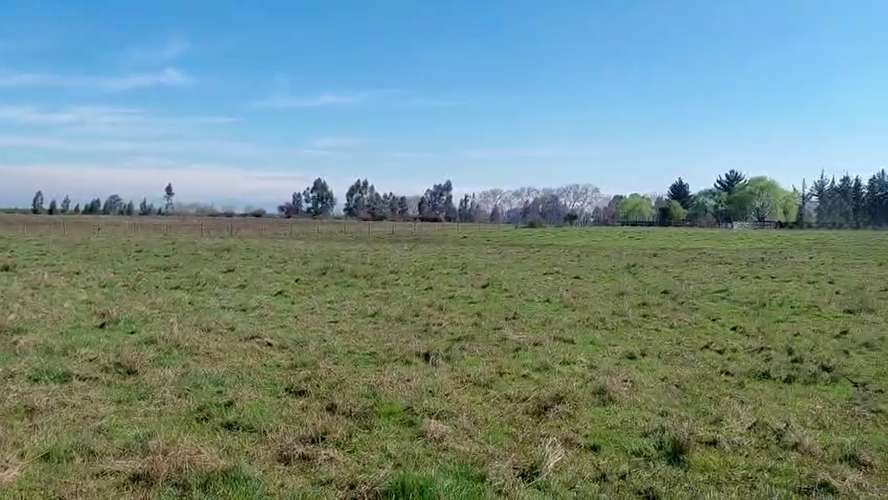 CAMPO AGRÍCOLA EN VENTA, TERRENO DE 20 HA PELARCO