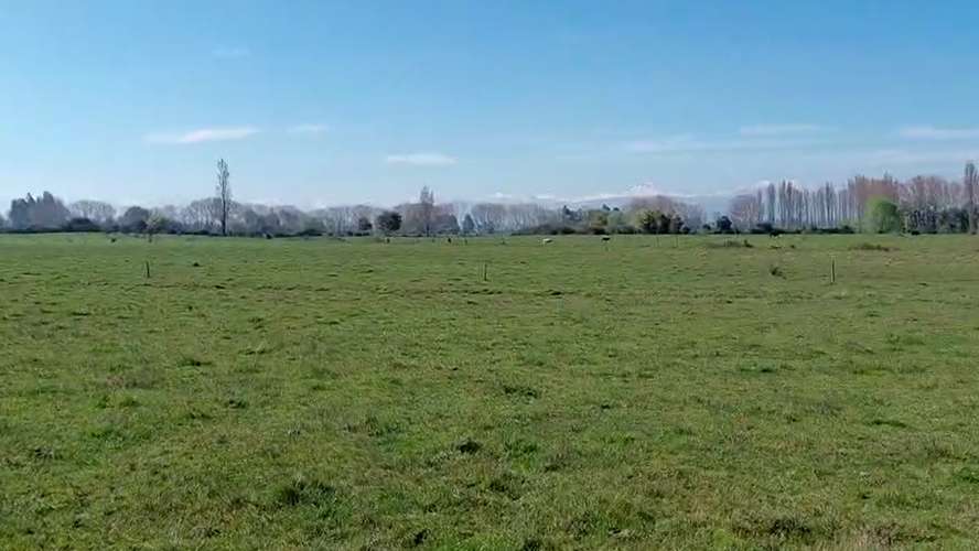 CAMPO AGRÍCOLA EN VENTA, TERRENO DE 20 HA PELARCO