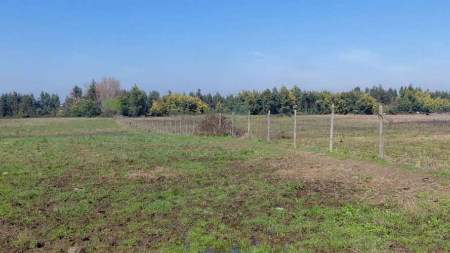 CAMPO AGRÍCOLA EN VENTA, TERRENO DE 20 HA PELARCO