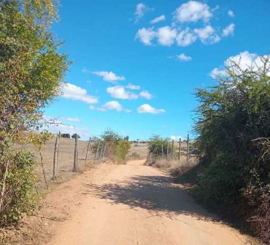 Parcela 5.000m² Rol Propio La Estrella - Imagen 24