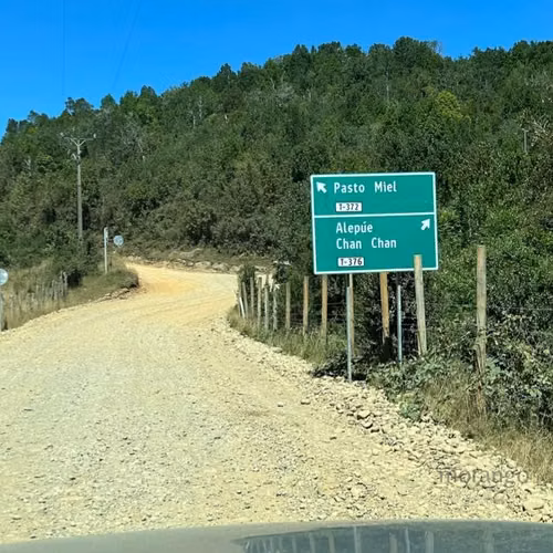 Parcela en plena selva Valdiviana