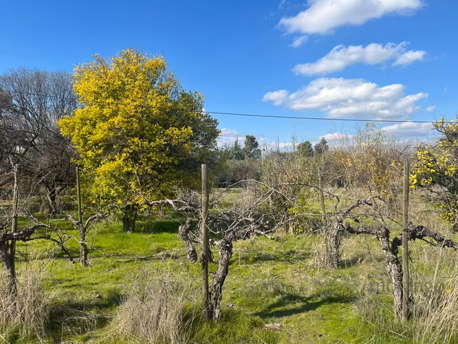 GRAN OPORTUNIDAD VENTA DE PARCELA  5.000M - Imagen 27