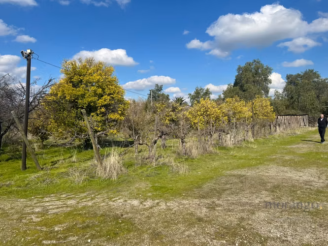 GRAN OPORTUNIDAD VENTA DE PARCELA  5.000M - Imagen 23