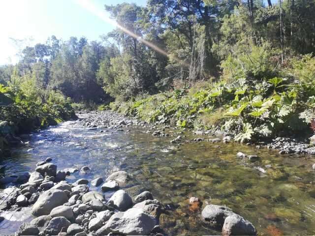 Puerto Varas linda parcela en Colonia  Rio Sur - Imagen 8