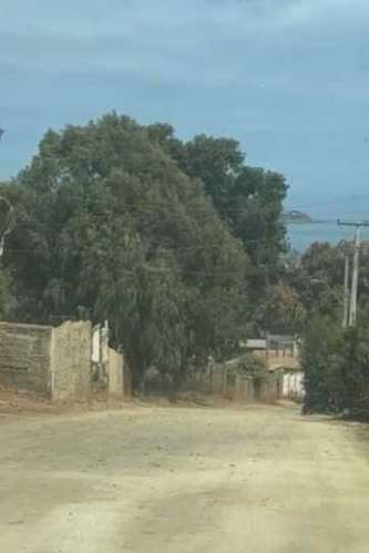 Hermoso terreno Campus del mar Sta Adela - Imagen 5