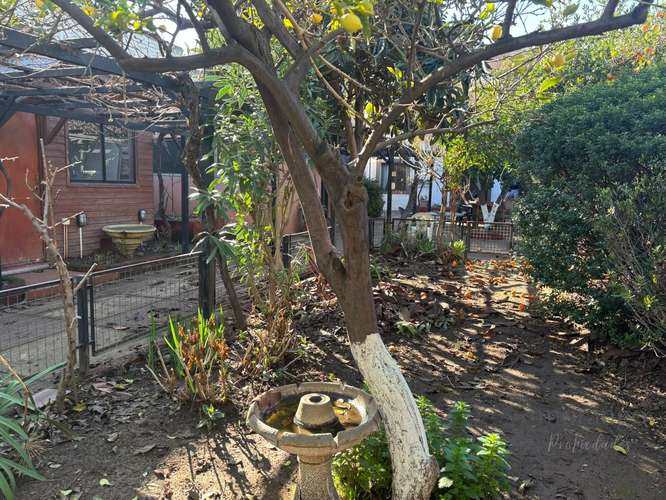 Venta de amplio terreno con 2 casas - Imagen 20