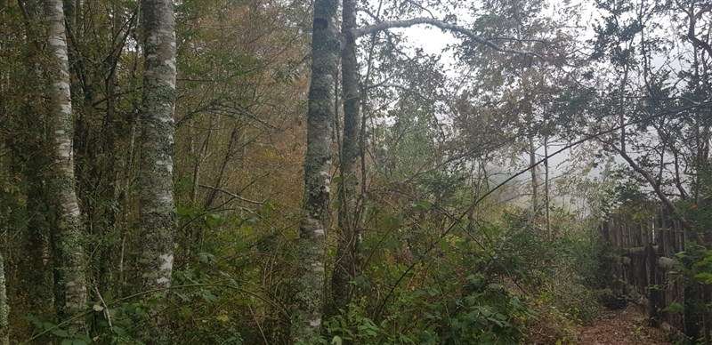 Parcela en venta en Villarrica