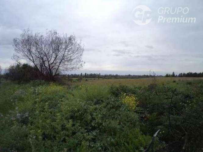 Sitio en venta en Longaví