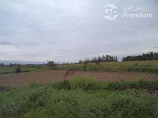 Sitio en venta en Longaví