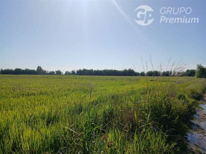 Sitio en venta en Longaví