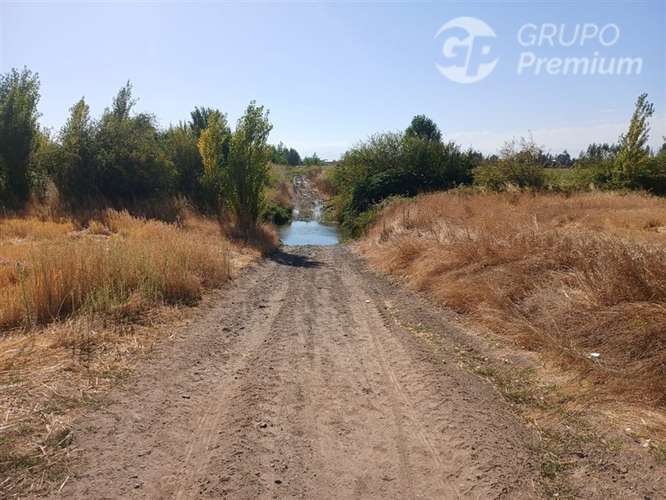 Sitio en venta en Longaví