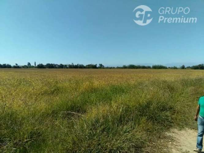 Sitio en venta en Longaví