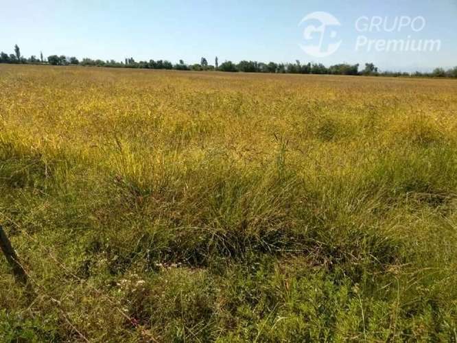 Sitio en venta en Longaví