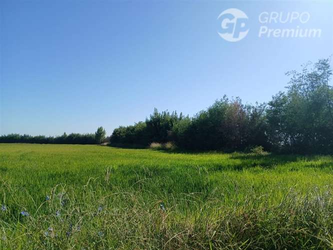 Sitio en venta en Longaví