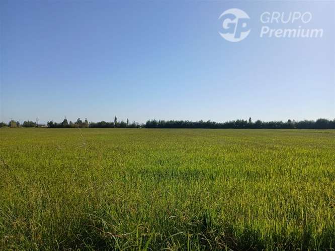 Sitio en venta en Longaví