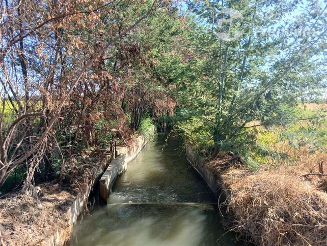 Sitio en venta en Longaví