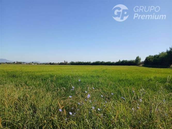 Sitio en venta en Longaví