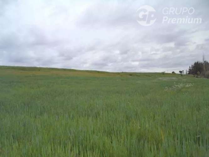 Sitio en venta en Longaví