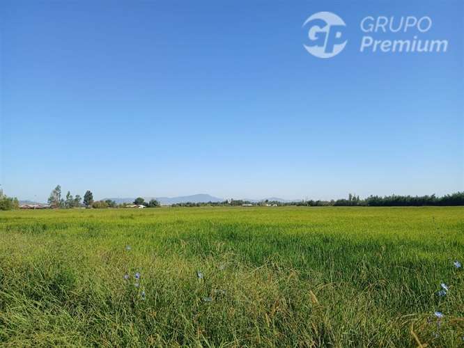 Sitio en venta en Longaví