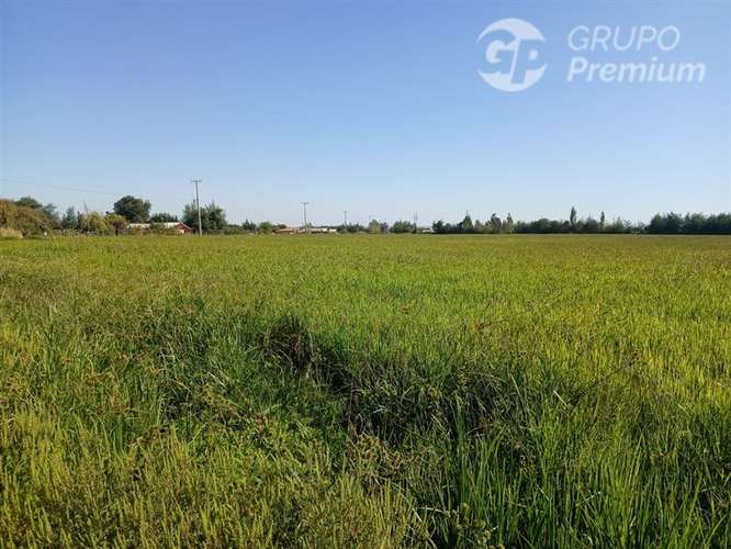 Sitio en venta en Longaví