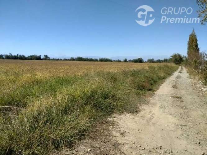 Sitio en venta en Longaví