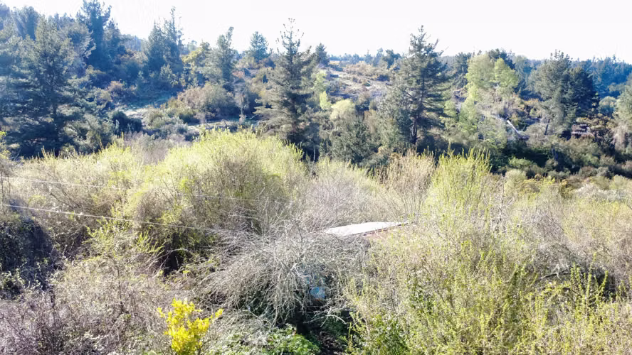 HERMOSA  PARCELA ,SECTOR RAHUE DE 20,12 HECTAREAS COMUNA DE GALVARINO , REGION DE LA ARAUCANIA
