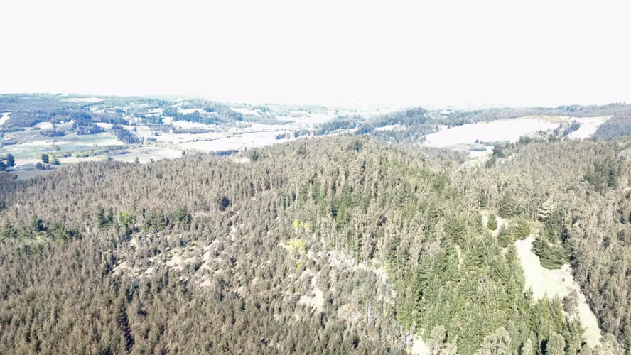 HERMOSA  PARCELA ,SECTOR RAHUE DE 20,12 HECTAREAS COMUNA DE GALVARINO , REGION DE LA ARAUCANIA