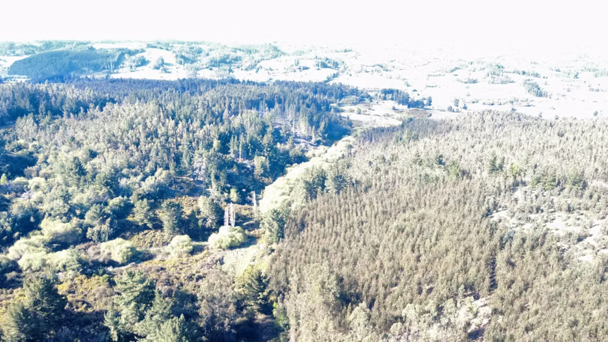 HERMOSA  PARCELA ,SECTOR RAHUE DE 20,12 HECTAREAS COMUNA DE GALVARINO , REGION DE LA ARAUCANIA